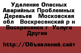 Удаление Опасных Аварийных Проблемных Деревьев - Московская обл., Воскресенский р-н, Воскресенск г. Услуги » Другие   